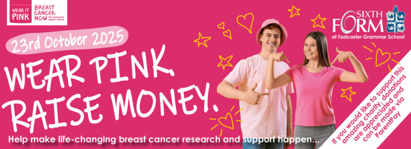 WEAR IT PINK web banner